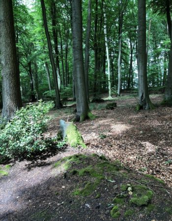 Barfußpark Lüneburger Heide Egestorf