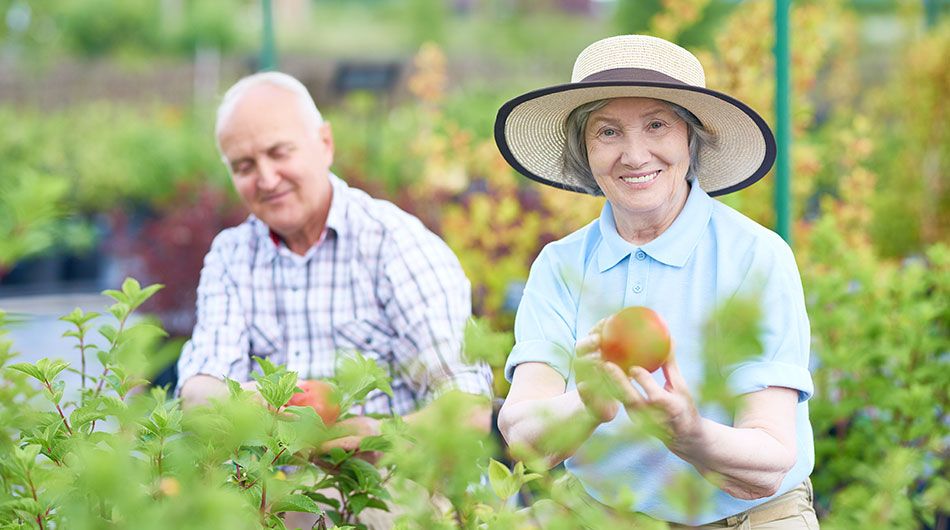 Ausflugstipps zur Freizeitgestaltung für Senioren im Ruhestand