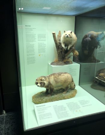 Zoologisches Museum Hamburg